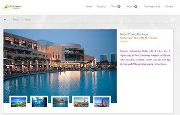 Ambreenn Dubai Travel and Tours
